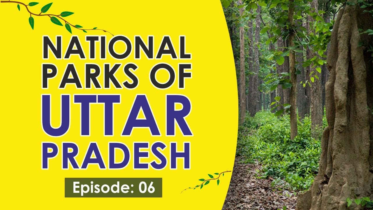 Kaimur Wildlife Sanctuary & Sohagibarwa Wildlife Sanctuary #uppcs2021 #uttarpradeshnationalpark