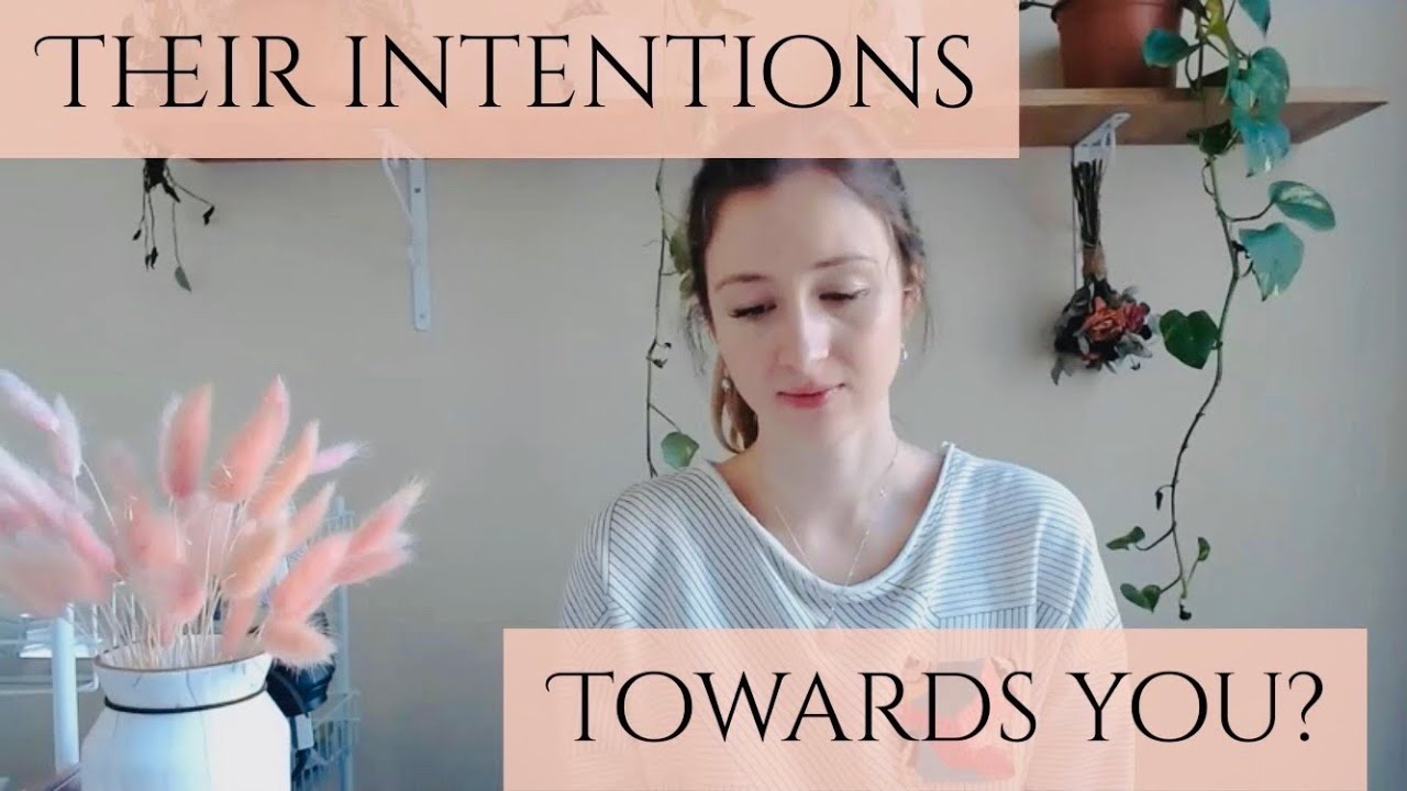 What are their intentions towards you?🤍*Pick a card* (timeless)