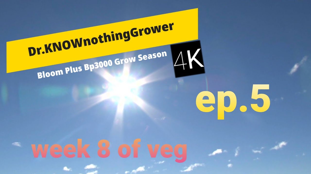 Bloomplus Bp3000 Grow series ep.5