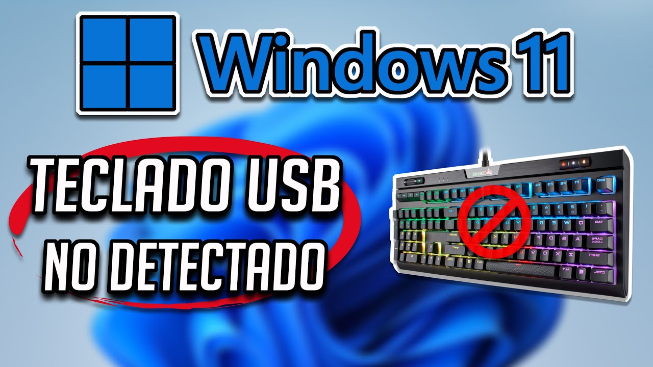 Windows 11 No Detecta Teclado USB - [4 Soluciones]