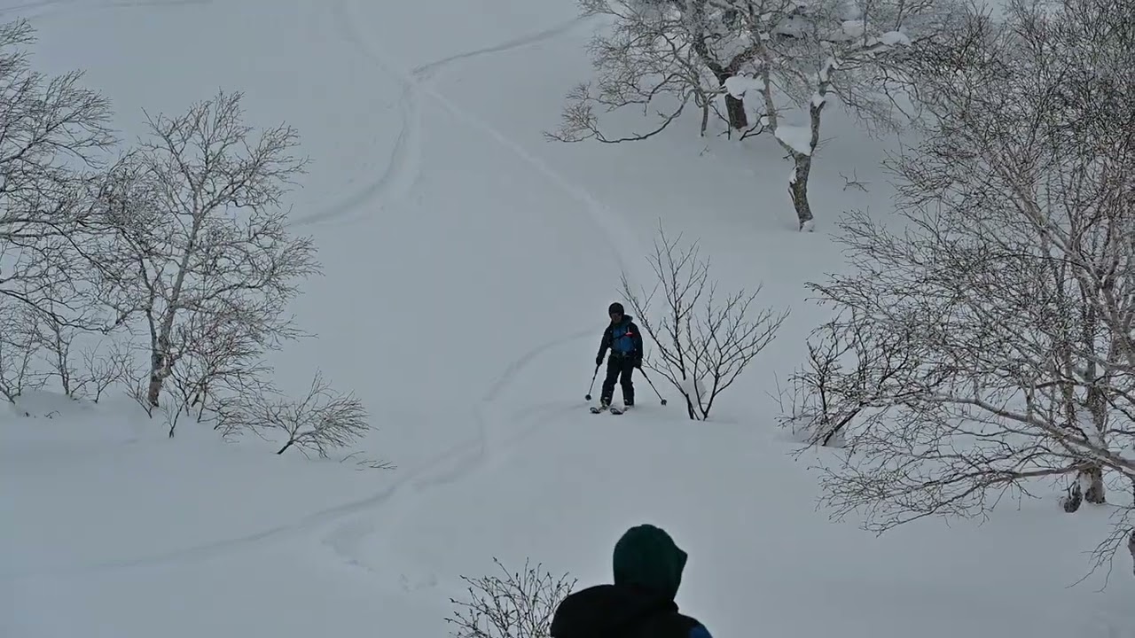 2026年2月8日三峰山近辺