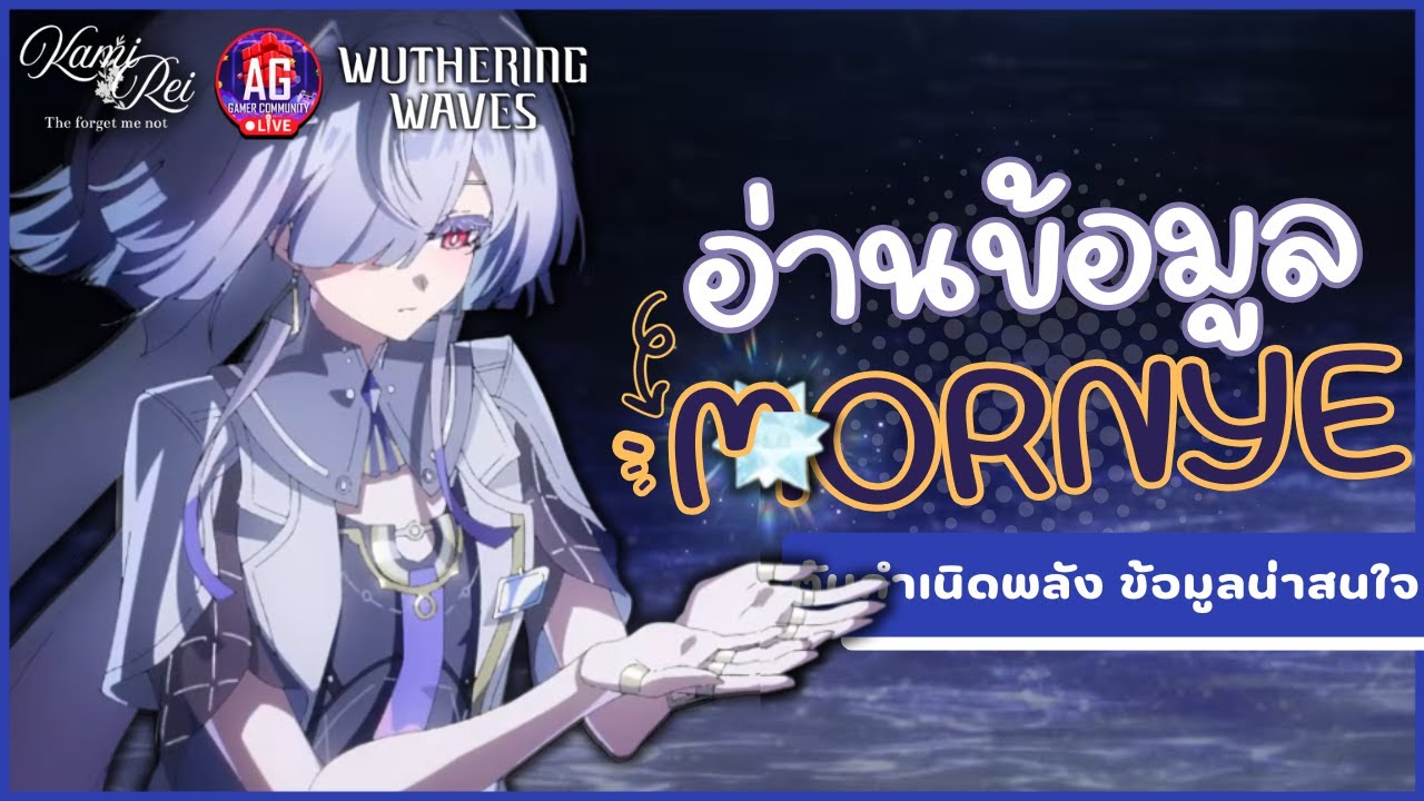น้อง Mornye เป็นคนยังไง ทำไมขาใส? ✦ ดูข้อมูลและ PV Mornye | Wuthering Waves
