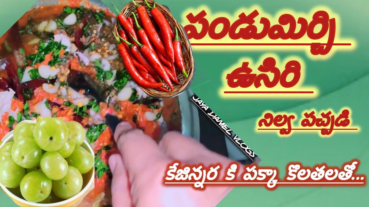పండుమిర్చి ఉసిరికాయ నిల్వ పచ్చడి, కేజీన్నర కి పక్కా కొలతలతో #Jaya Daniel 