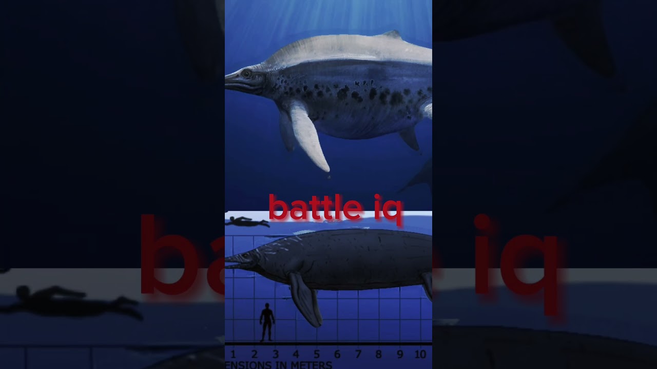 shonisaurus vs shastasaurus