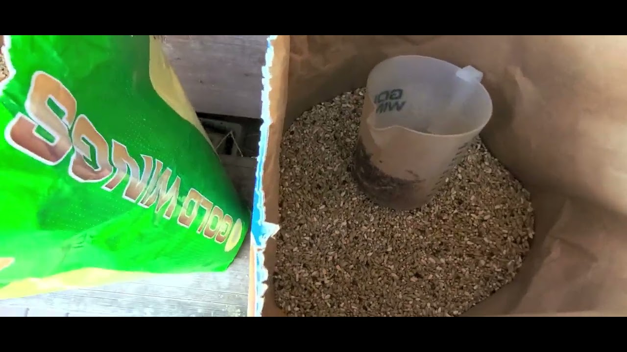 Maciej Włudzik trochę o karmach dla młodych Gold Wings