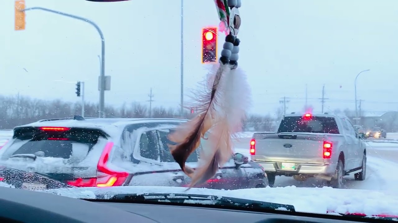 Snowing in Winnipeg today.  March 12,2026.