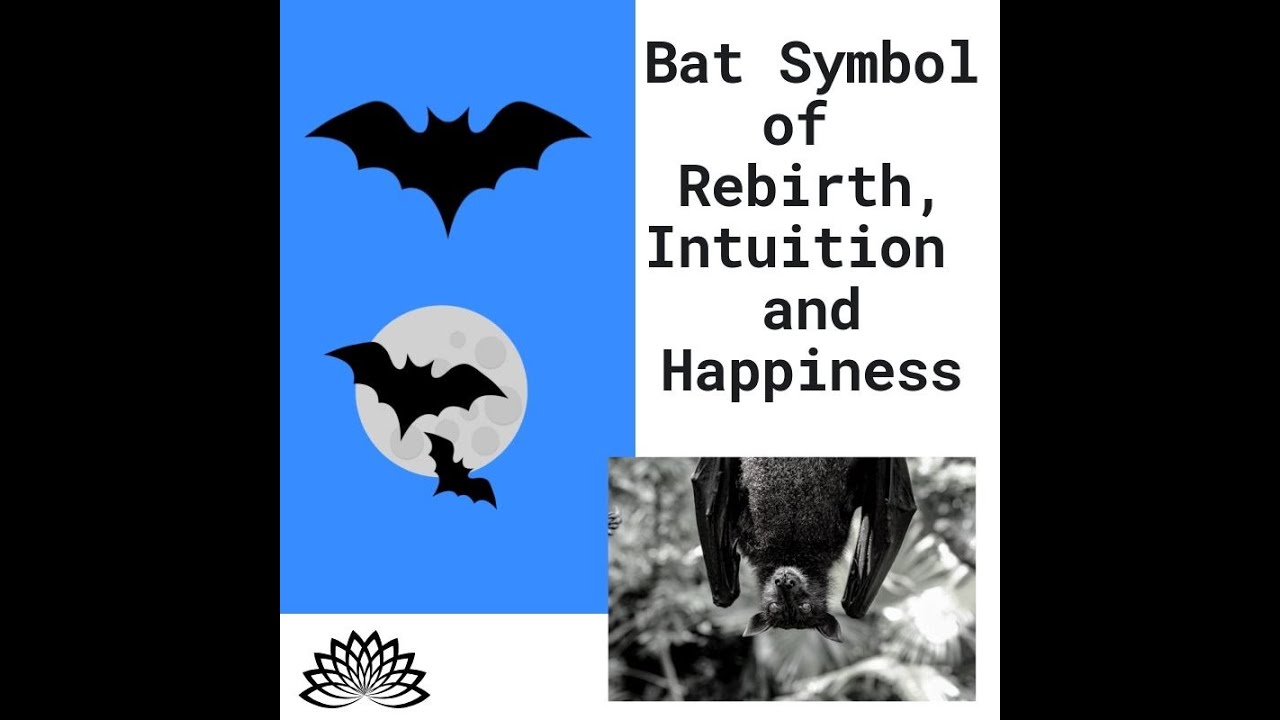 Bat: Symbol of Intuition, Happiness or Evil?