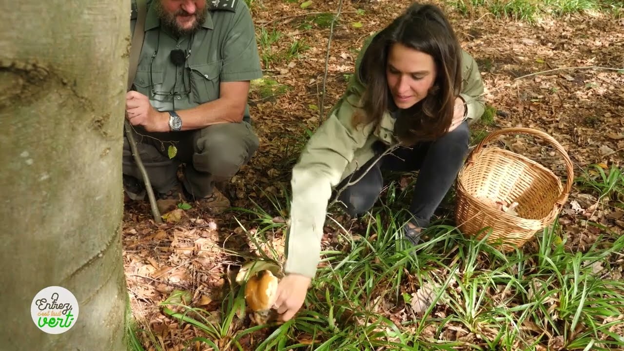 Balade avec Benjamin, garde forestier au cantonnement de Dinant (DNF)