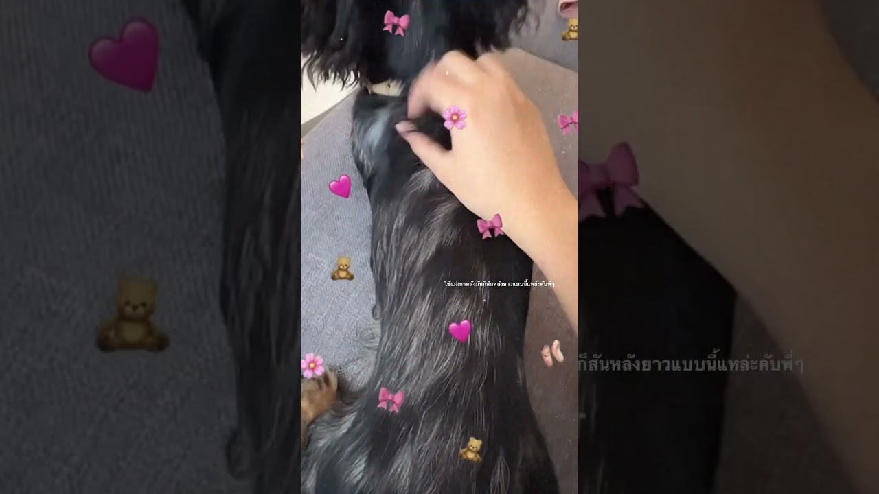 Fluffy IG story 240522