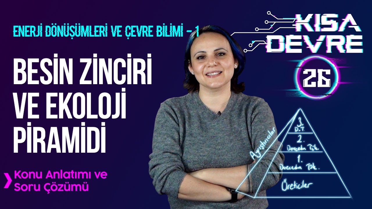 8. Sınıf Fen Bilimleri Enerji Dönüşümleri ve Çevre Bilimi 1: Besin Zinciri | Lightboard’da Ders #26