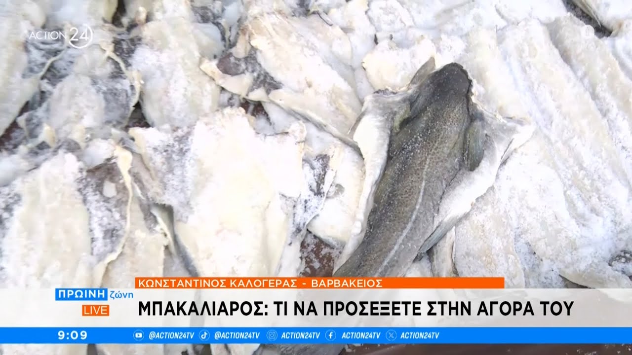 Μπακαλιάρος: Τι να προσέξετε στην αγορά του | ACTION 24