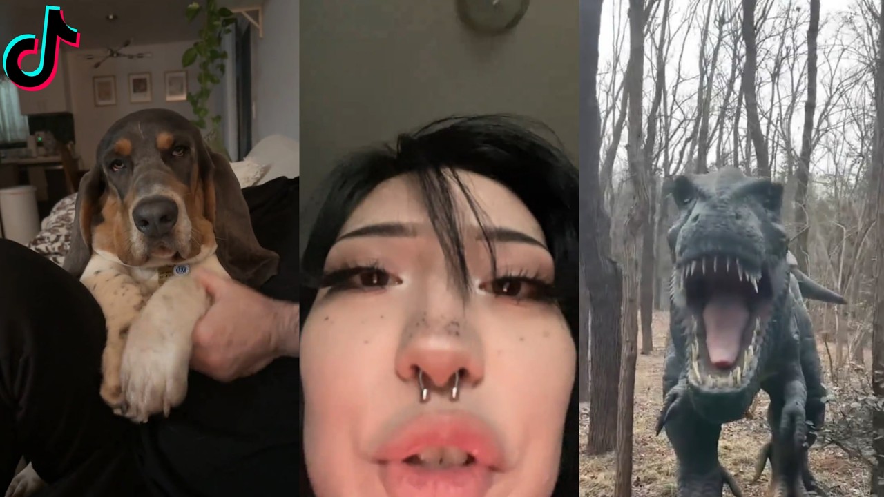 Random videos | watch at 2 a.m. #12