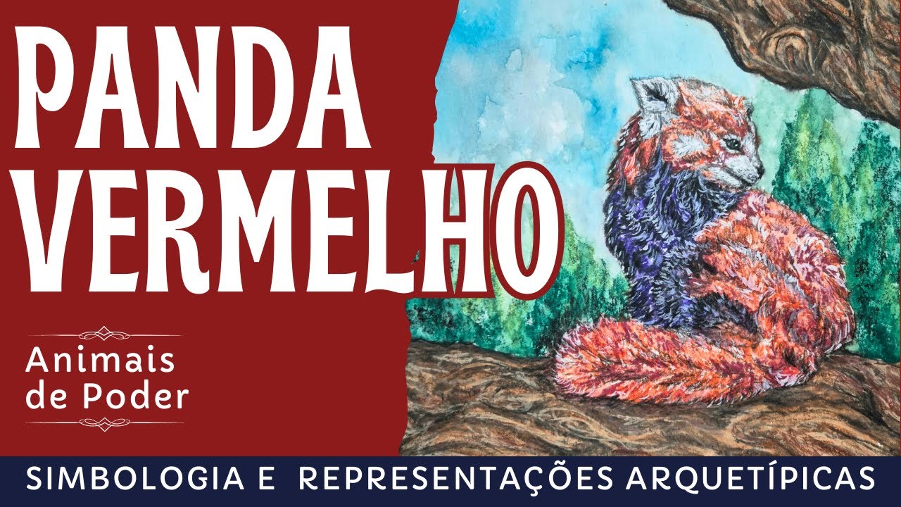 O panda vermelho como animal de poder -  representações arquetípicas e simbologia