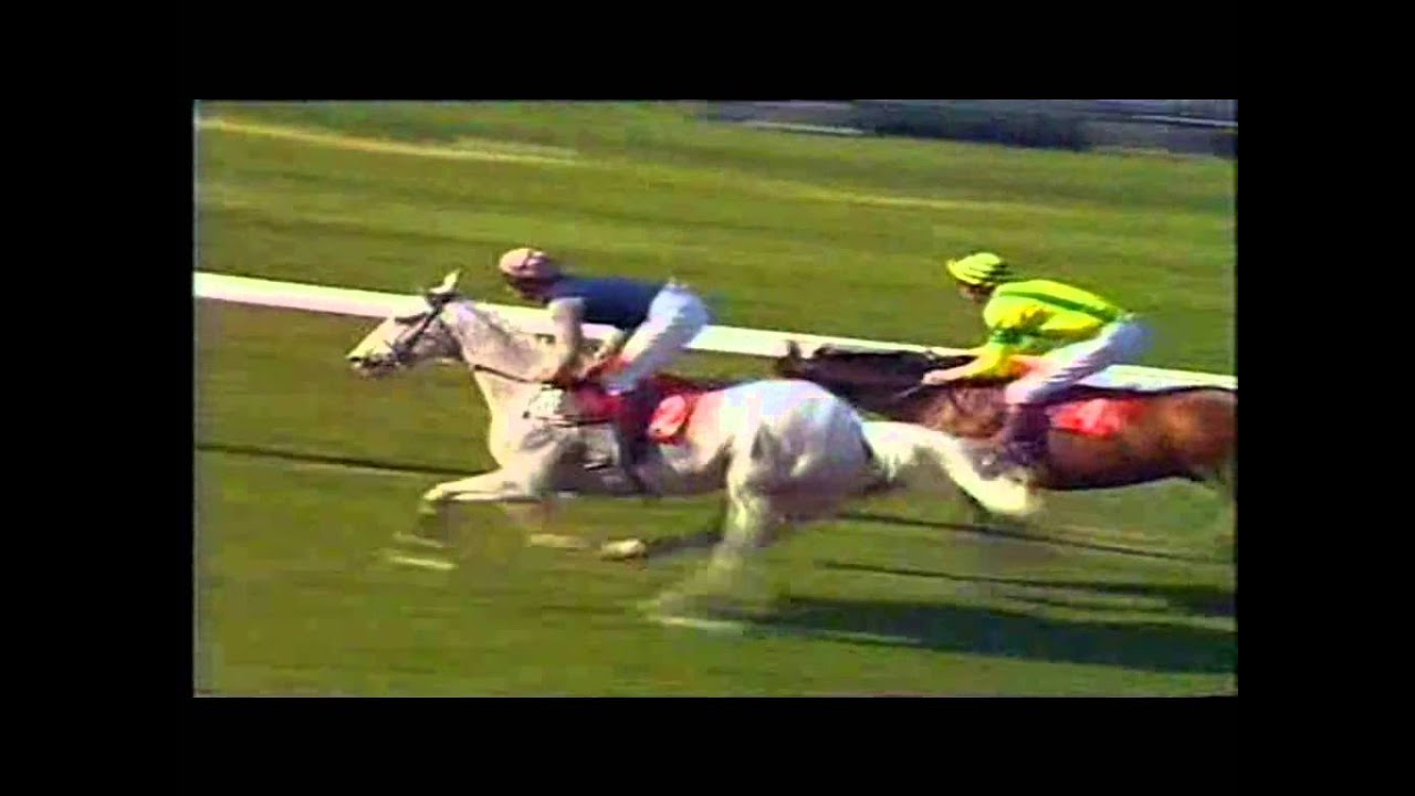 1988 Whitbread Gold Cup Sandown extended footage Desert Orchid