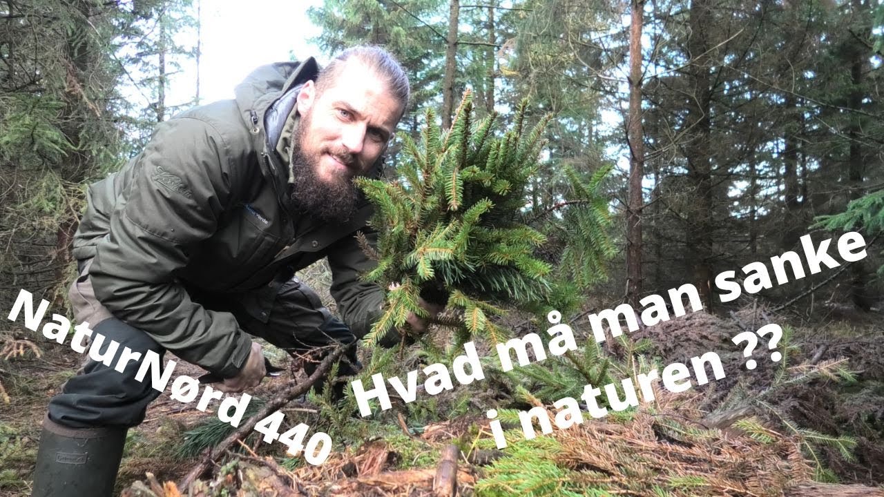 NaturNørd 440. På Sanketur i den bynære skov. Hvad må man tage ???