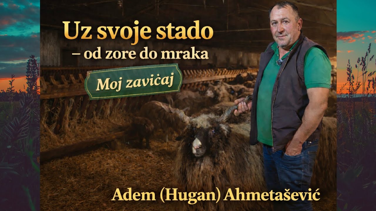 „Uz ovce i zavičaj: Dani vrijednog domaćina“ - Moj zavičaj