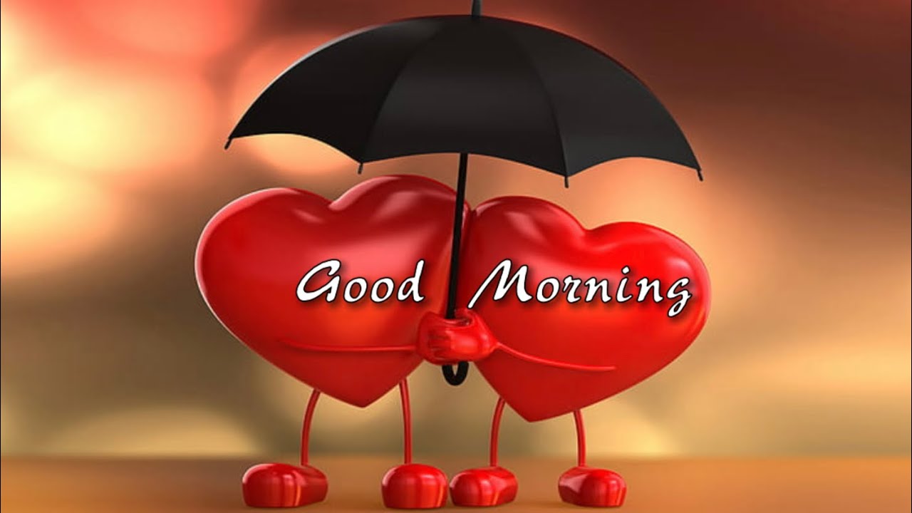 Good Morning My Love | Good Morning WhatsApp Status | Good Morning Sweetheart | Good Morning Status|