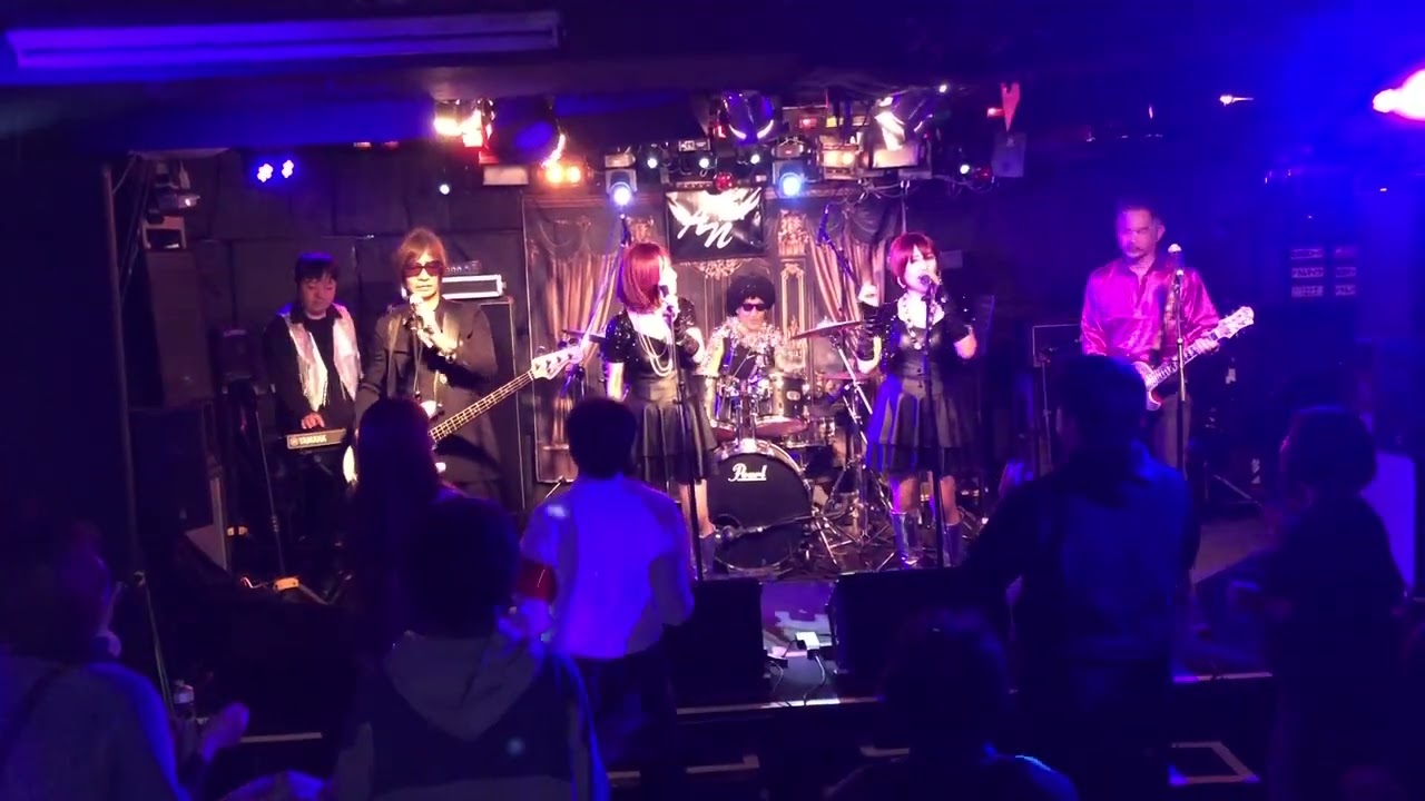 20260125 The Disco Freaks@アニマルネスト