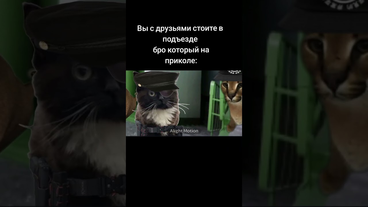 шизофреническая жиза #легенда #memes #2021 #шлёпа #мем