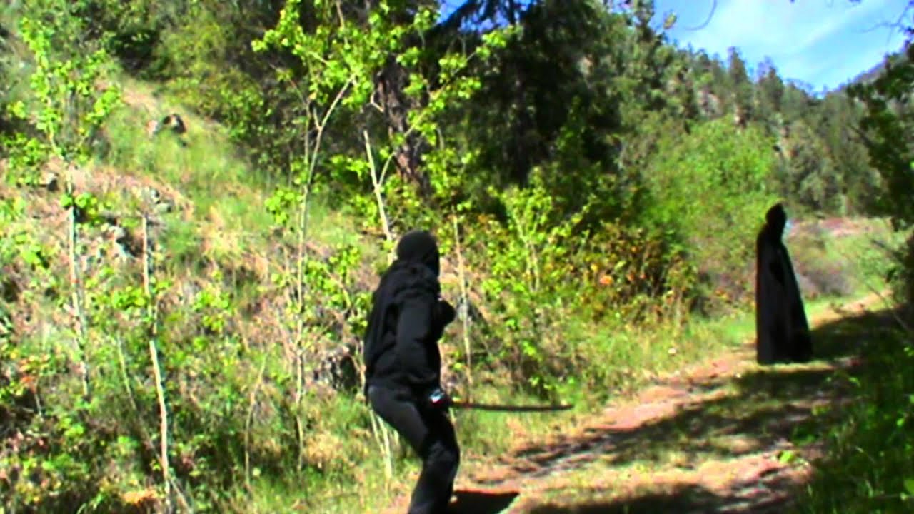 Viking vs. Ninja