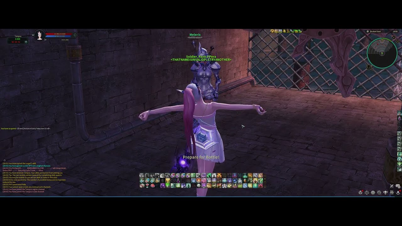 Aion Classic Eu 3.7 | S rank Tempus