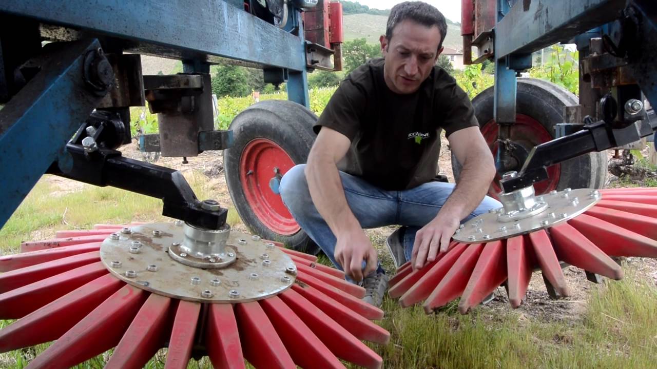 Paroles d'expert Ecovigne - Bineuse à doigt Kreiss