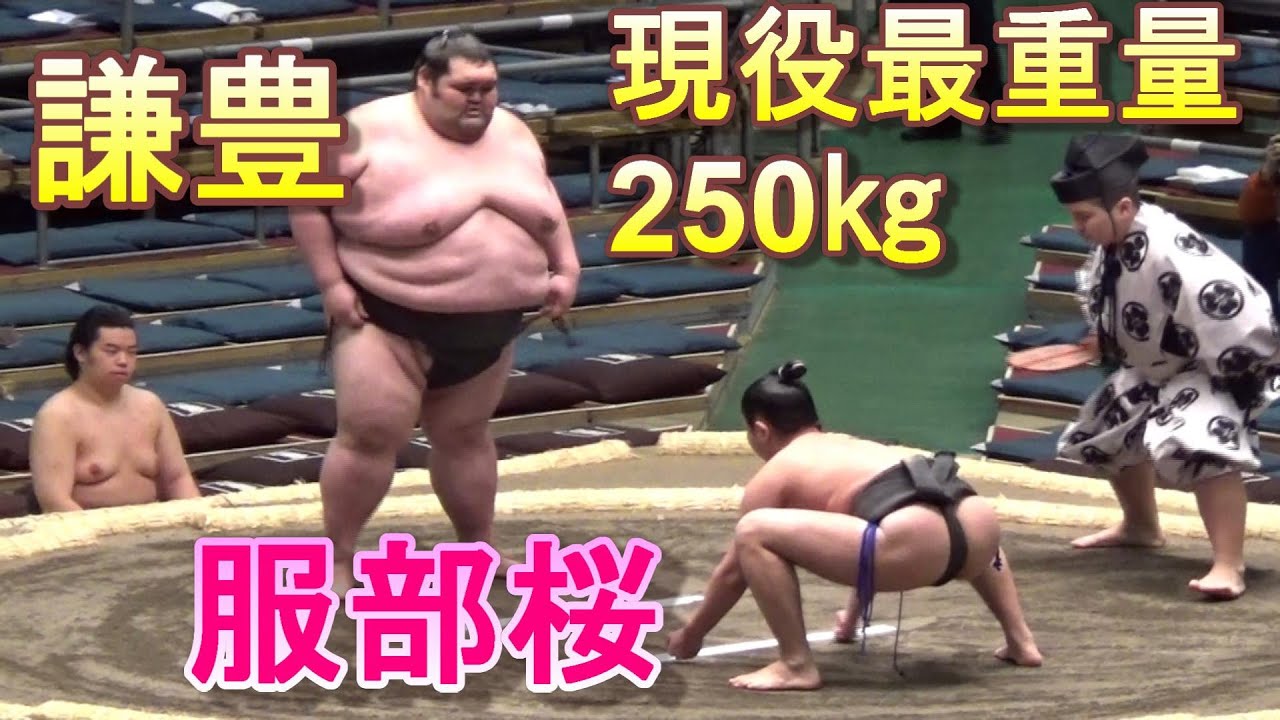服部桜　対　謙豊（日本人最重量250㎏）