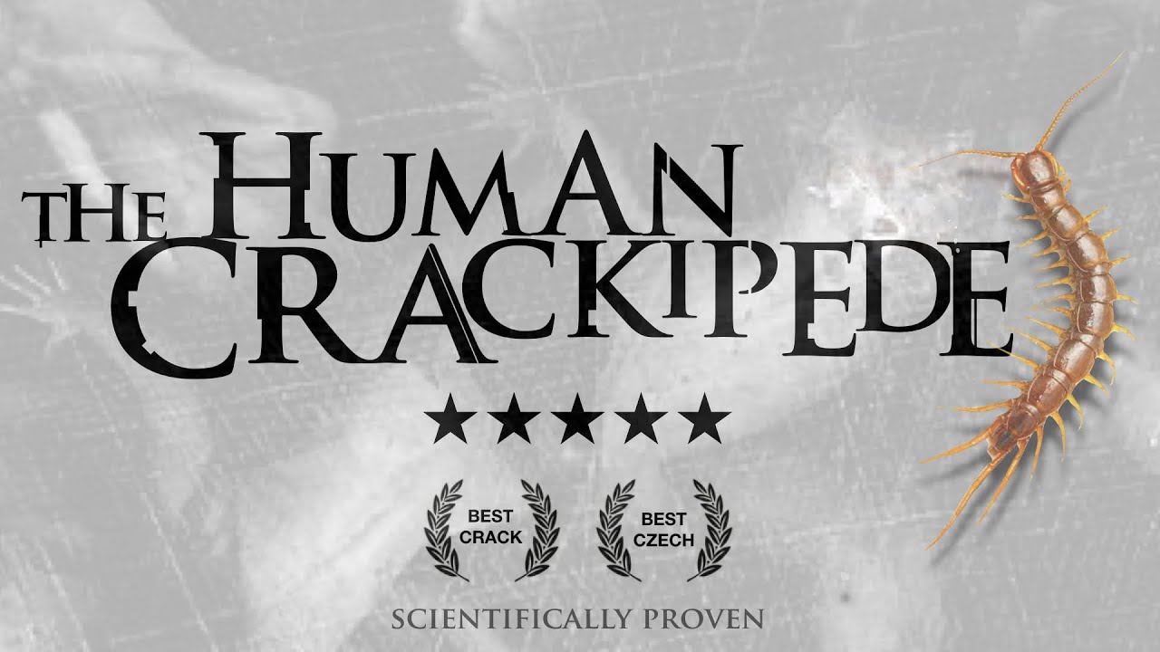 THE HUMAN 𝙲̶𝙴̶𝙽̶𝚃̶𝙸̶𝙿̶𝙴̶𝙳̶𝙴̶  CRACKIPEDE