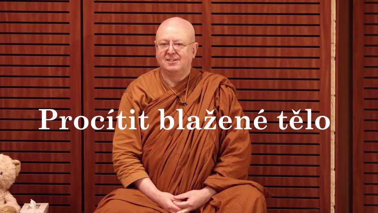 Procítit blaho ve svém těle 🧘| Ajahn Brahm | [české znění] | 23.6.2020