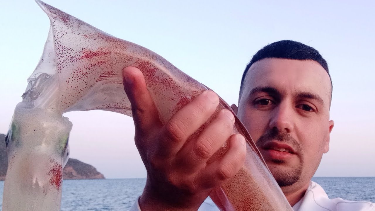 صيد الكلمار في المضيق بي الطعم الإستناعي تقنية #spininng #moroco #fishing #eging