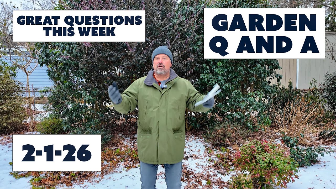 Great Gardening Questions This Week - Protecting Plants, Fixing Soil Damaged by Construction