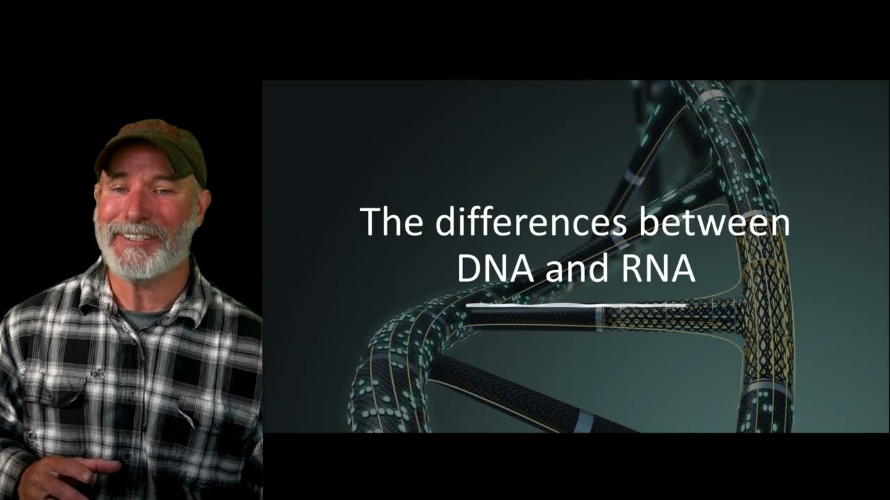 Nucleic Acids RNA and DNA (2024 update)