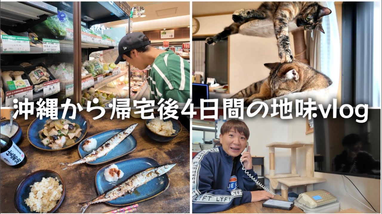 沖縄1ヶ月旅から帰宅後4日間のvlog | ほぼ家にいるだけの地味すぎる日常がスタート。自炊、愛猫たちの様子、皮膚科へ行く、ヘアカット、那覇で無くしたメガネの行方、、！！