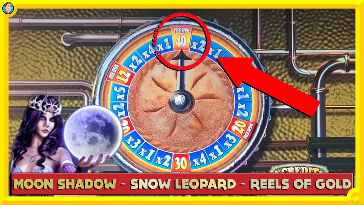 Moon Shadow, Reels of Gold, Snow Leopard and MORE!!
