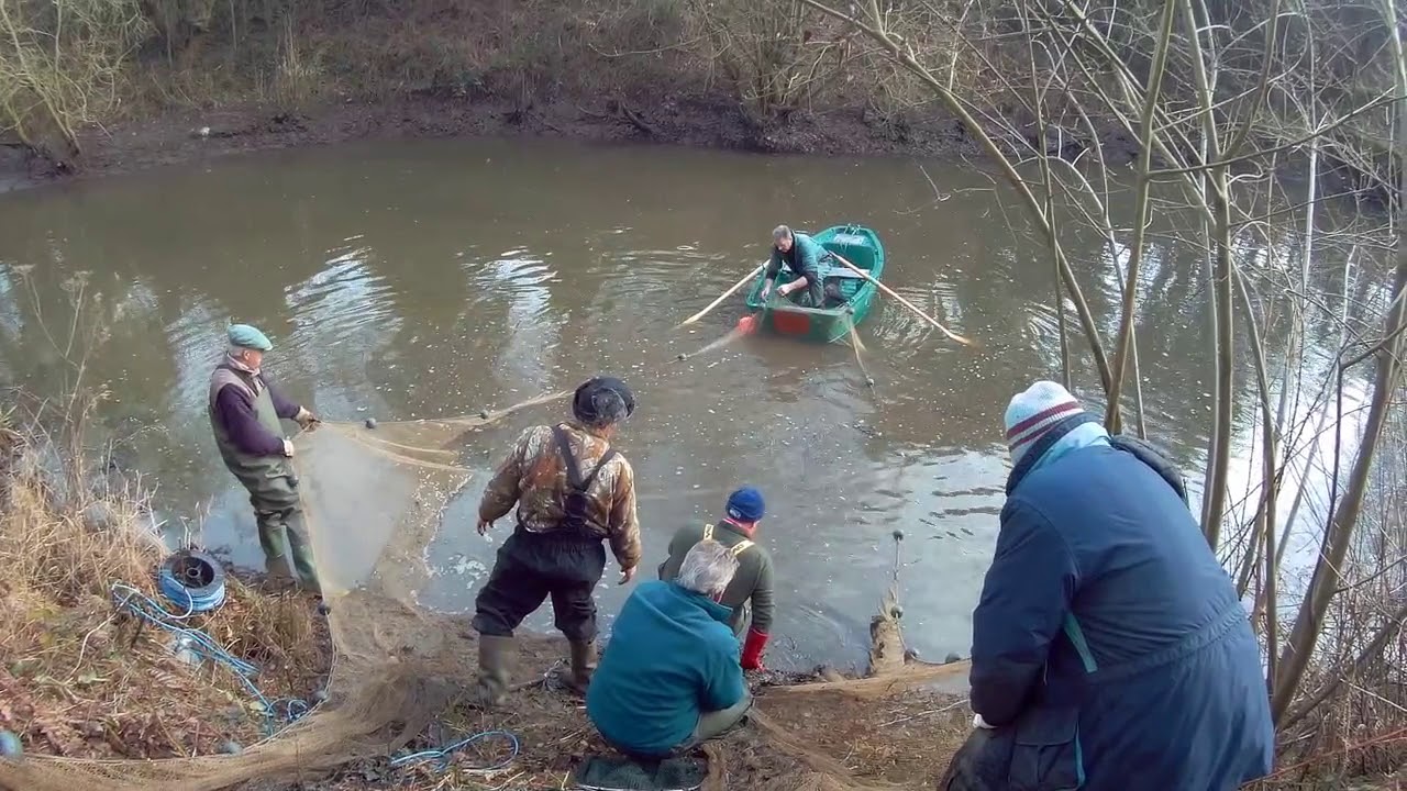 Netting old stock pond