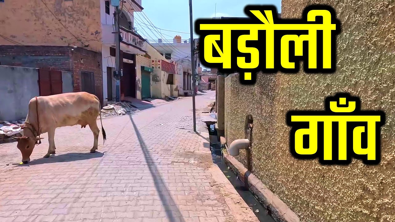 BADAULI VILLAGE बड़ौली गाँव | Badauli Village Panipat Haryana | Badauli Village Ki Video