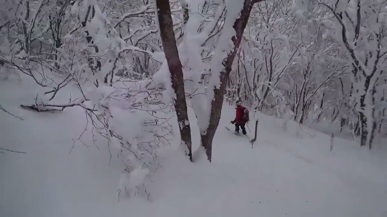 那岐山
