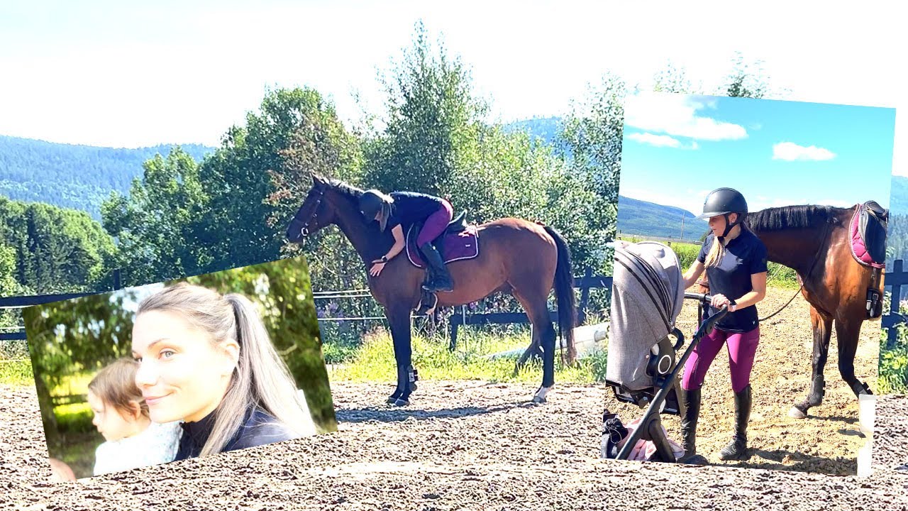 LANG STALLVLOGG: CESTER I GANG MED TILRIDNING