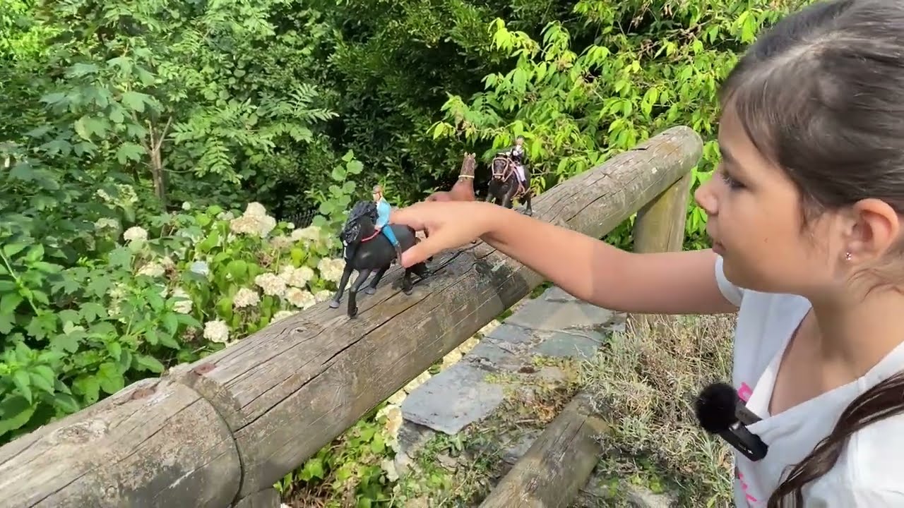 Black Beauty. Avventura e passeggiata con il nuovo cavallo Schleich.