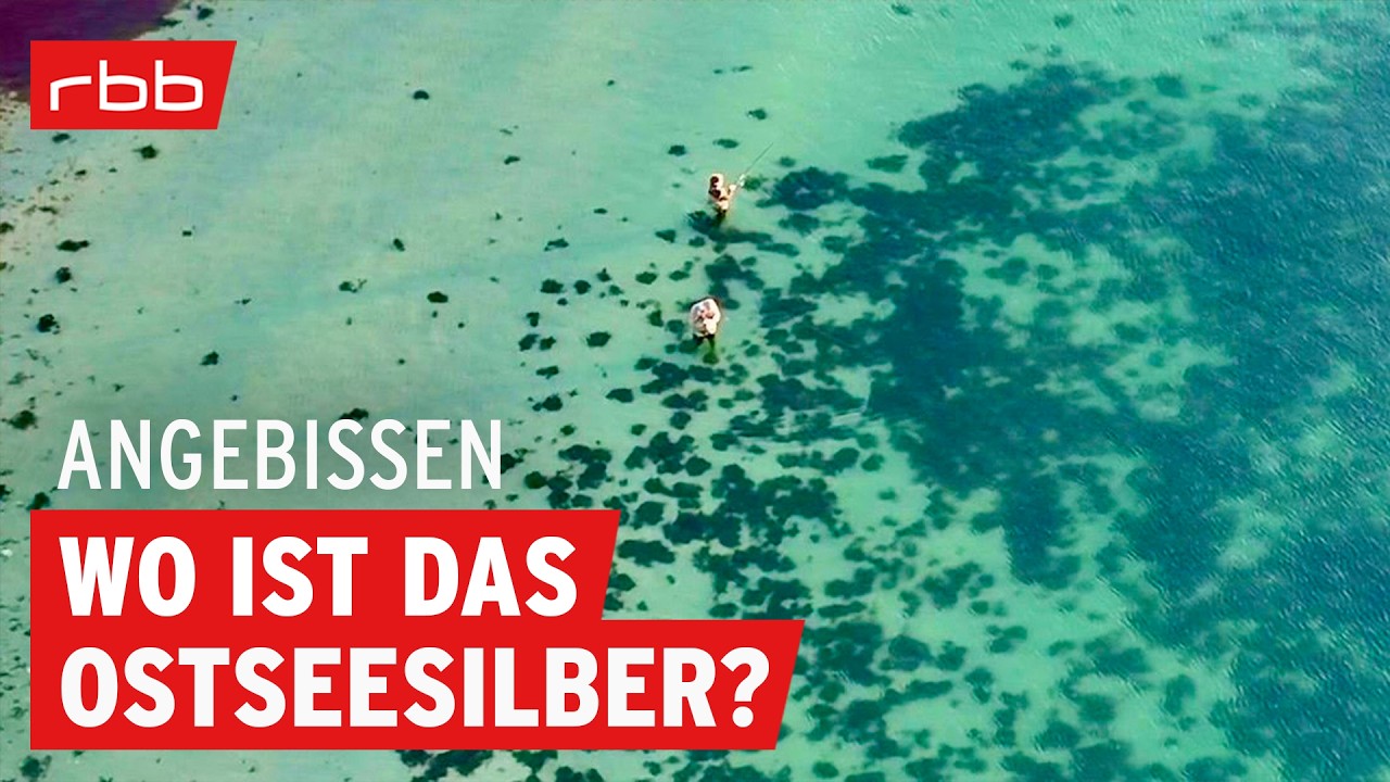 Tipps & Tricks beim Meerforellen-Angeln von J&ouml;rg Strehlow | #194 | Angelpodcast