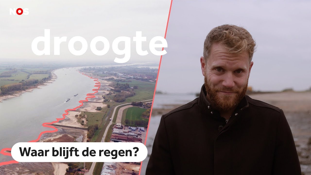 Hoe een gortdroge zomer Nederland verschrompelde
