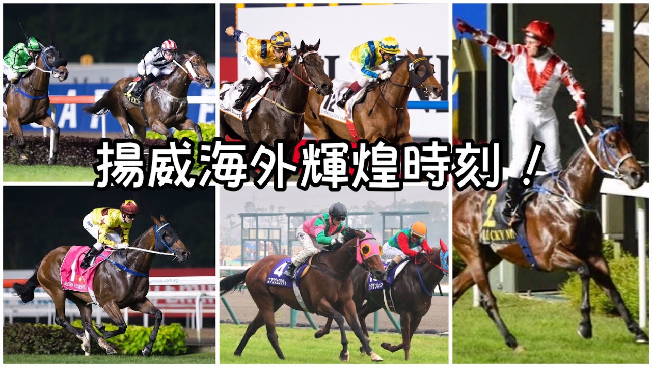 2010年代 港隊馬揚威海外輝煌時刻
