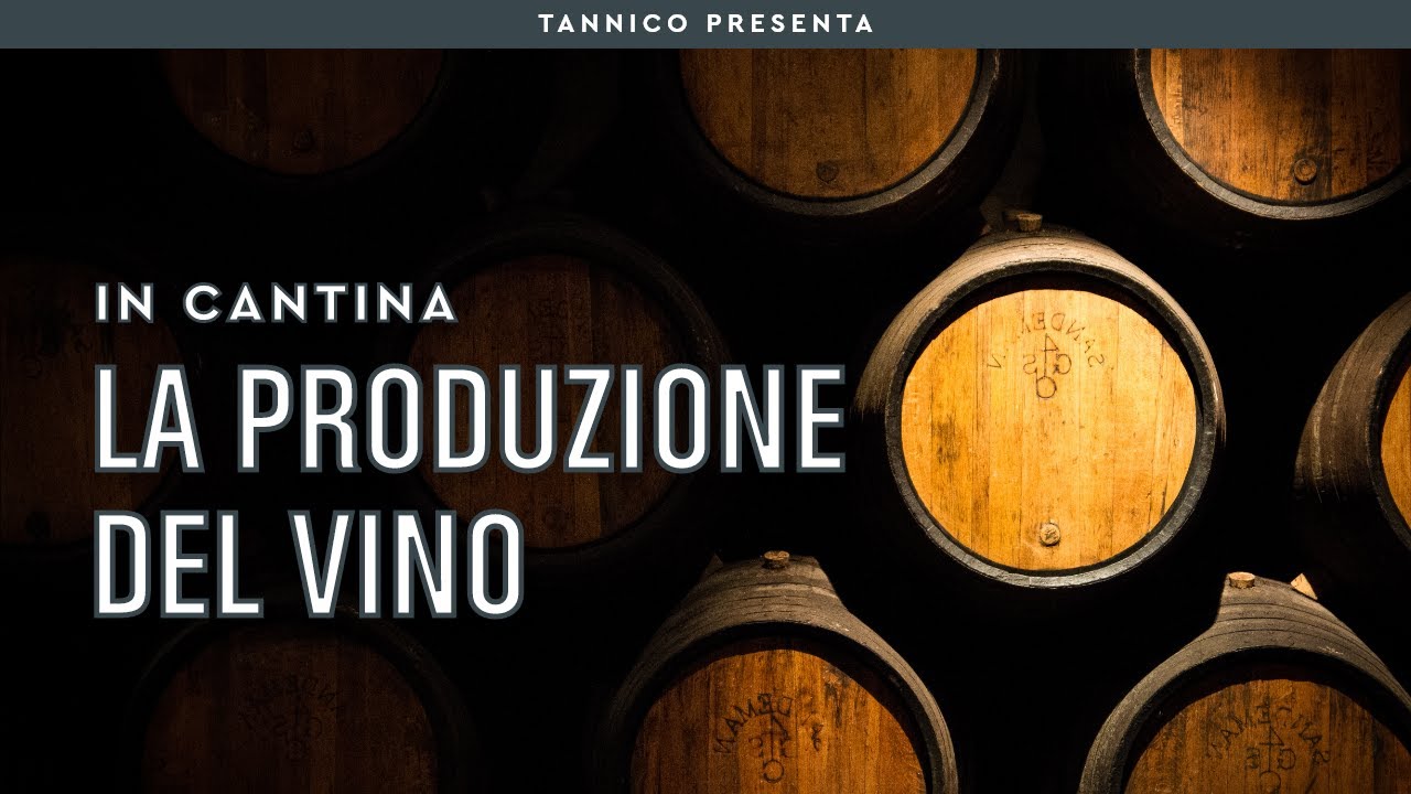 La produzione del vino rosso, bianco, rosato e orange | Tannico Flying School