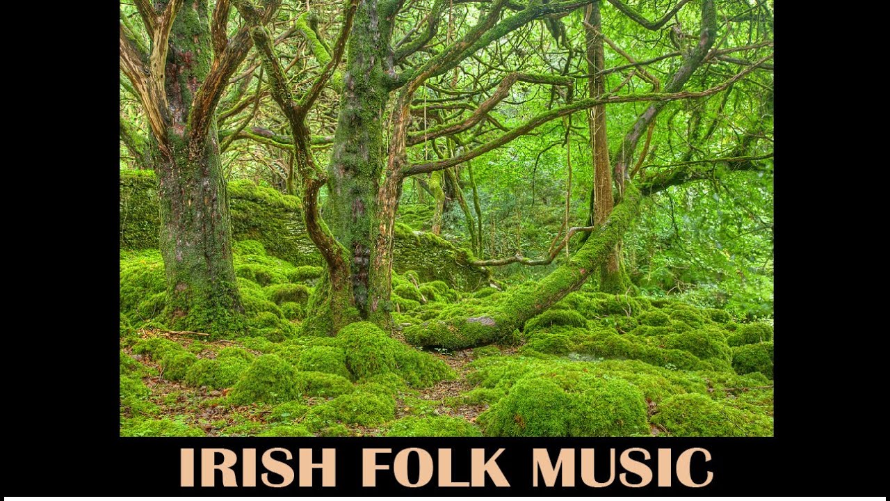 Irish folk music - King of the fairies