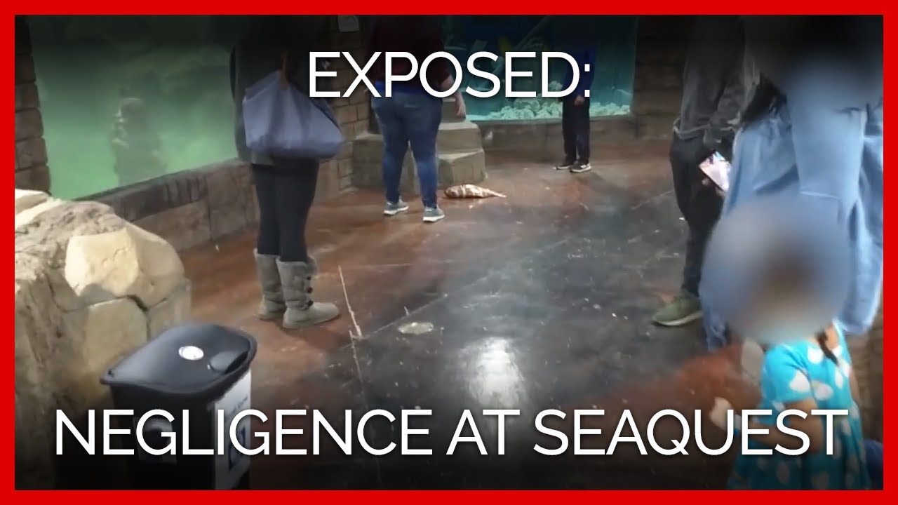A Fish Jumped Out of Water, and It Took Two Minutes for SeaQuest to Act