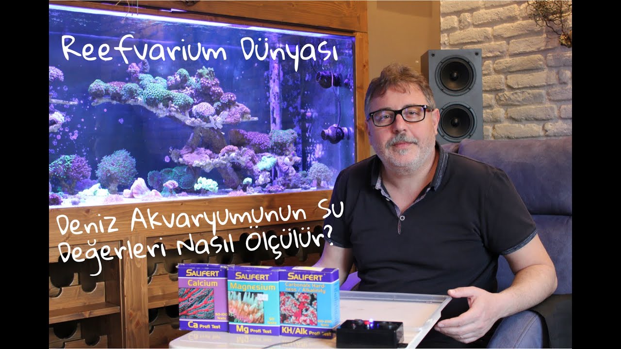 Akvaryumun Su Değerleri Nasıl Ölçülür? / How to Test the Water in a Reef Tank (with subtitles)