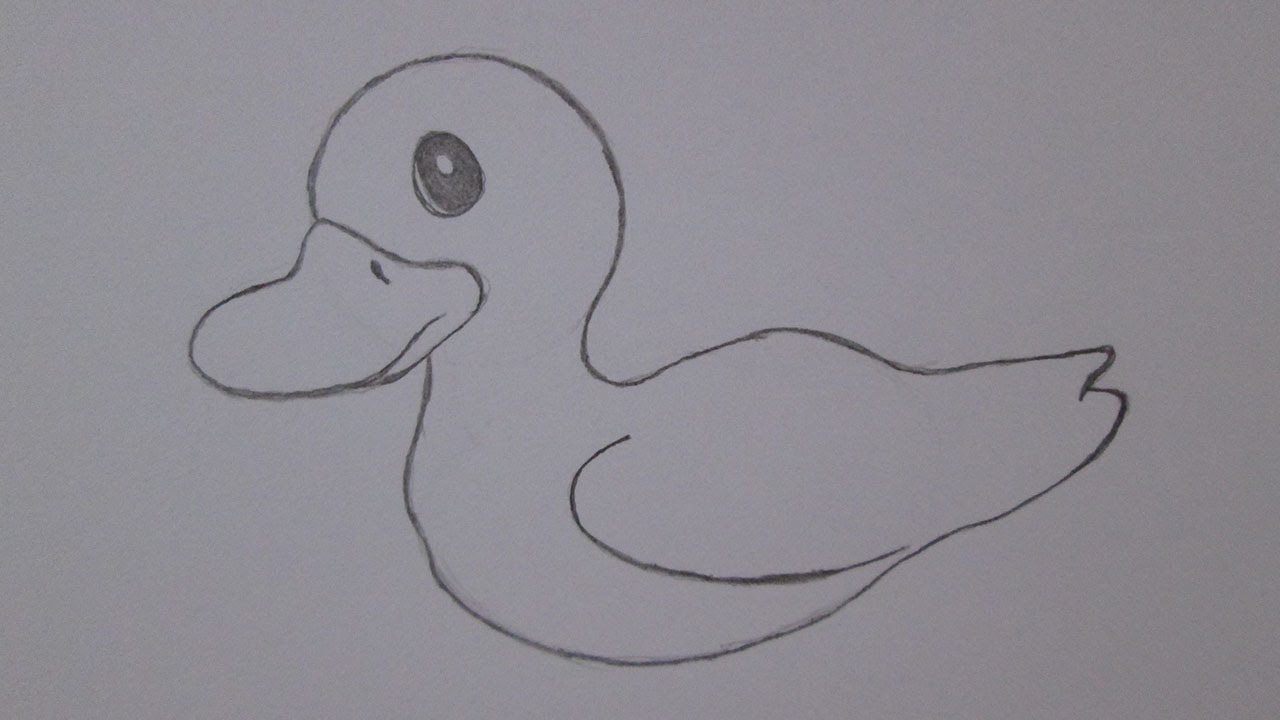 Como desenhar um pato