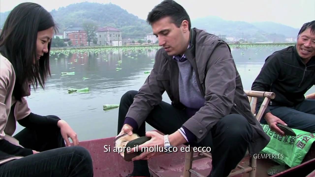 Viaggio al cuore degli allevamenti perliferi - Perle di coltura d'acqua dolce - Gemperles.it