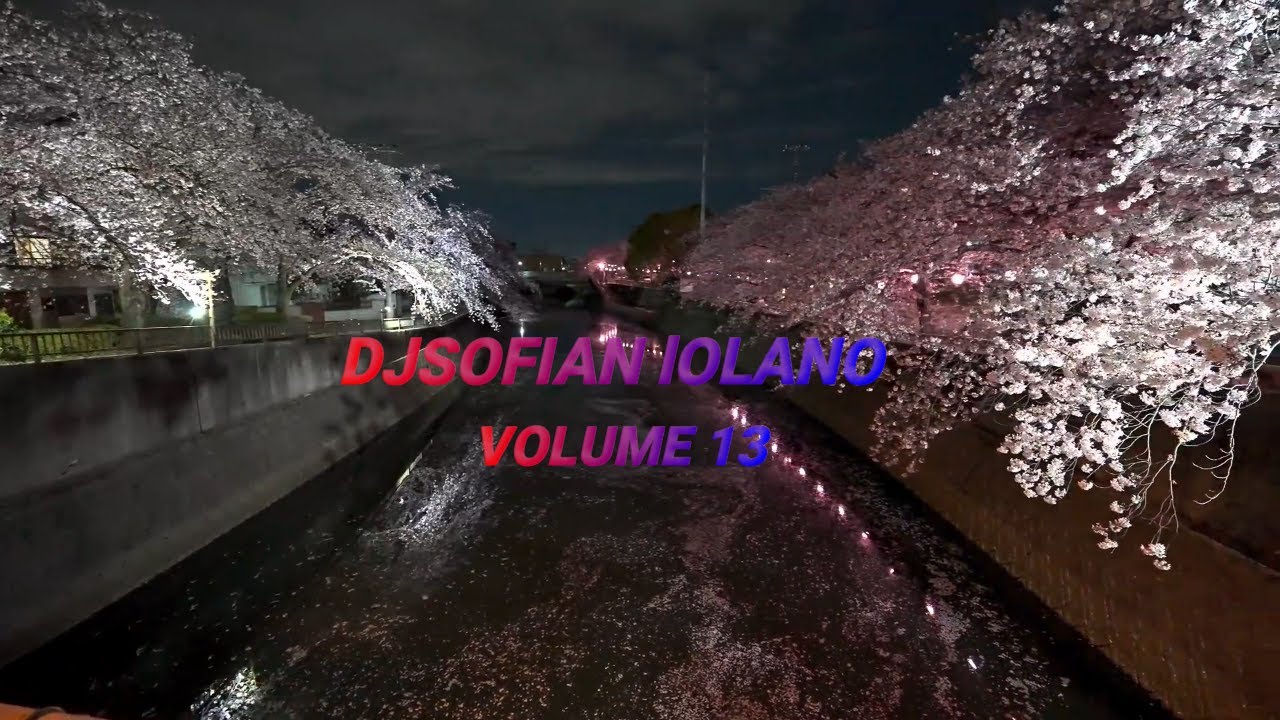 Djsofian lolano mix volume 13 (electronic,pop,future house core bass funk),progressive house.