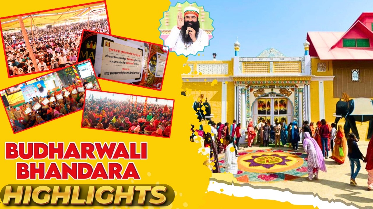Divine MSG Bhandara Celebration | Budharwali Rajasthan | 19th January 2025
